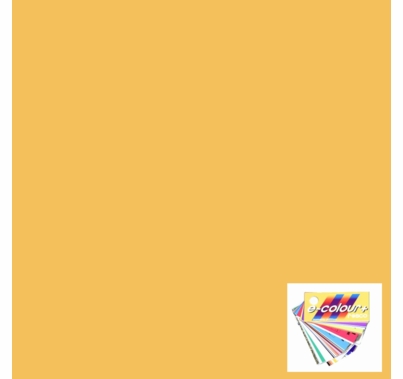 Rosco E Colour 013 Straw Tint Lighting Gel Filter Sheet