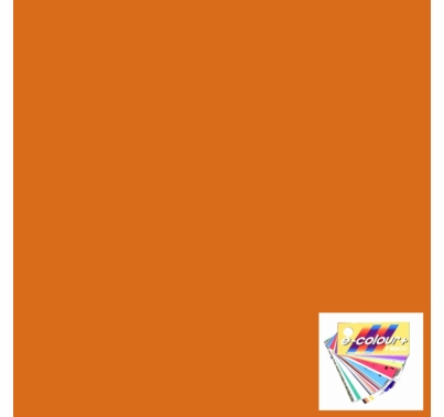 Rosco E Colour 021 Gold Amber Lighting Gel Sheet 21 x 24 Inch