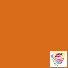 Rosco E Colour 021 Gold Amber Lighting Gel Sheet 21 x 24 Inch