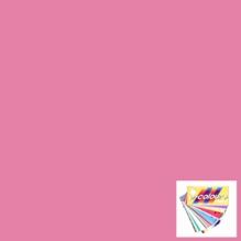 Rosco E Colour 036 Medium Pink Lighting Gel Sheet 21 x 24 Inch