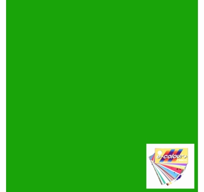 Rosco E Colour 089 Moss Green Gel Filter Sheet