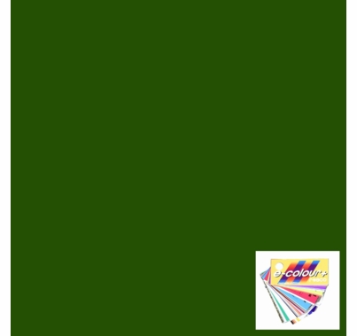 Rosco E Colour 090 Dark Yellow Green Lighting Gel Sheet 21"x24"