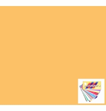 Rosco E-Colour 1/2 Straw 442 Half CTS Gel Roll