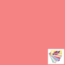 Rosco E Colour 107 Light Rose Lighting Gel Sheet 21"x24"