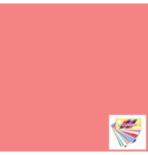 Rosco E Colour 107 Light Rose Lighting Gel Sheet 21"x24"