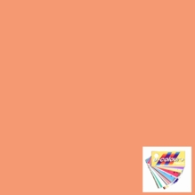 Rosco E Colour 108 English Rose Lighting Gel Sheet 21"x24"