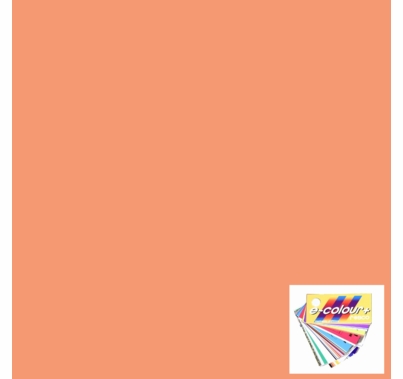 Rosco E Colour 108 English Rose Lighting Gel Sheet 21"x24"