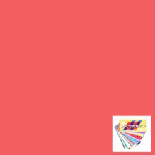 Rosco E Colour 109 Light Salmon Gel Filter Sheet