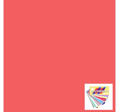 Rosco E Colour 109 Light Salmon Gel Filter Sheet