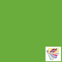 Rosco E Colour 121 Leaf Green Lighting Gel Sheet 21"x24"