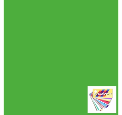 Rosco E Colour 122 Fern Green Lighting Gel Sheet 21"x24"