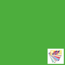 Rosco E Colour 122 Fern Green Lighting Gel Sheet 21"x24"