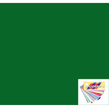 Rosco E Colour 124 Dark Green Lighting Gel Sheet 21"x24"
