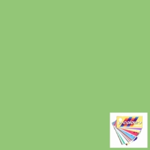 Rosco E Colour 138 Pale Green Lighting Gel Sheet 21"x24"