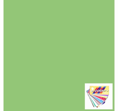 Rosco E Colour 138 Pale Green Lighting Gel Sheet 21"x24"