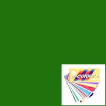 Rosco E-Colour 139 Primary Geen Lighting Gel Filter Sheet 21"x24"