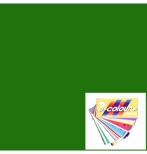 Rosco E-Colour 139 Primary Geen Lighting Gel Filter Sheet 21"x24"