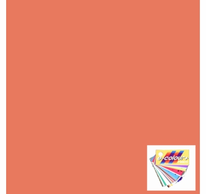 Rosco E Colour 176 Loving Amber Gel Filter Sheet