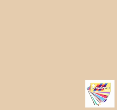Rosco E-Colour 184 Cosmetic Peach Lighting Gel Filter Roll 4ft x 25ft