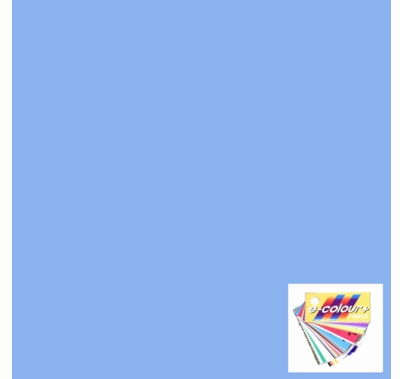 Rosco E Colour 203 Quarter CTB Daylight Lighting Filter Sheet 10 x 12 Inch