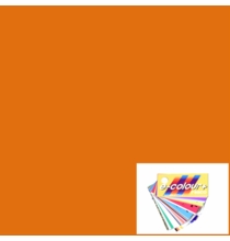 Rosco E-Colour 204 Full CTO Orange Gel Roll