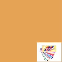 Rosco E Colour 205 Half CTO Orange 4'x4' Gel Sheet