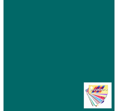 Rosco E Colour 241 Fluorescent 5700K Gel Filter Sheet 21"x24"