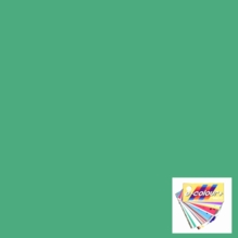 Rosco E Colour 242 Fluorescent 4300K Gel Filter Sheet 21"x24"