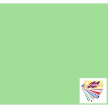 Rosco E Colour 245 Half Plus Green Lighting Filter Sheet 10 x 12 Inch