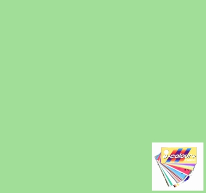 Rosco E Colour 245 Half Plus Green Lighting Filter Sheet 10 x 12 Inch