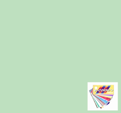 Rosco E Colour 246 Quarter Plus Green Gel Filter Sheet 10 x 12 Inch