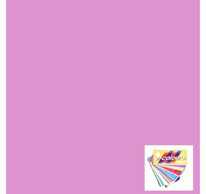 Rosco E Colour 248 Half Minus Green Magenta Gel Sheet 10 x 12 Inch
