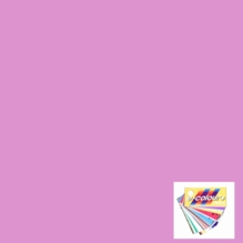 Rosco E Colour 248 Half Minus Green Magenta Gel Sheet 10 x 12 Inch