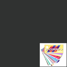 Rosco E-Colour 299 Neutral Density ND1.2 Gel Filter Sheet