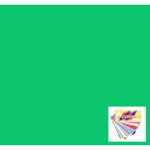 Rosco E Colour 322 Soft Green Gel Filter Sheet