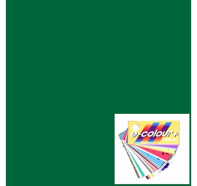 Rosco E-Colour 327 Forest Green Lighting Gel Filter Sheet 21"x24"