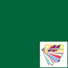 Rosco E-Colour 327 Forest Green Lighting Gel Filter Sheet 21"x24"