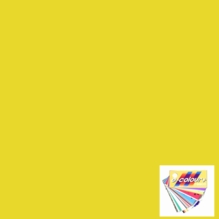 Rosco E Colour 5336 Aztec Gold Gel Filter Sheet