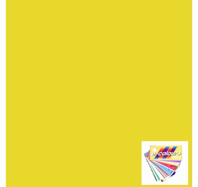 Rosco E Colour 5336 Aztec Gold Gel Filter Sheet