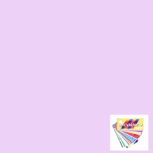 Rosco E Colour 5404 Wisteria Gel Filter Sheet