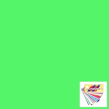 Rosco E Colour 5455 Tarragon Green Lighting Gel Filter Sheet 21"x24"