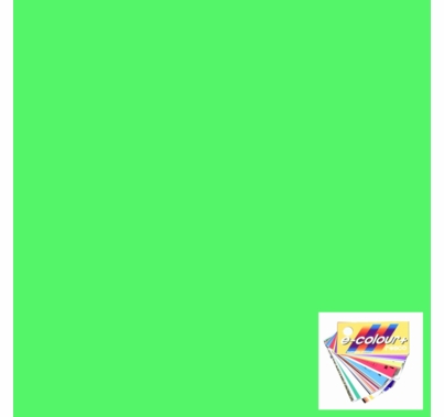 Rosco E Colour 5455 Tarragon Green Lighting Gel Filter Sheet 21"x24"