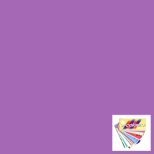 Rosco E Colour 704 Lily Lighting Gel Sheet 21"x24"