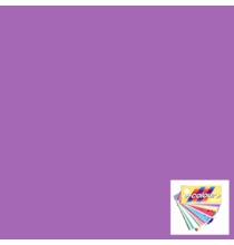 Rosco E Colour 704 Lily Lighting Gel Sheet 21"x24"