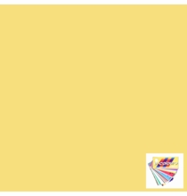 Rosco E Colour 764 Sun Colored Straw Lighting Gel Sheet 21"x24"
