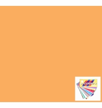 Rosco E Colour Full Straw 441 CTS Gel Roll