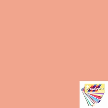 Rosco E Colour Medium Bastard Amber 004 Lighting Gel Sheet