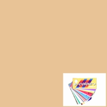 Rosco E Colour Quarter CTO 1/4 206 Gel Sheet