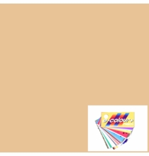 Rosco E Colour Quarter CTO 1/4 206 Gel Sheet