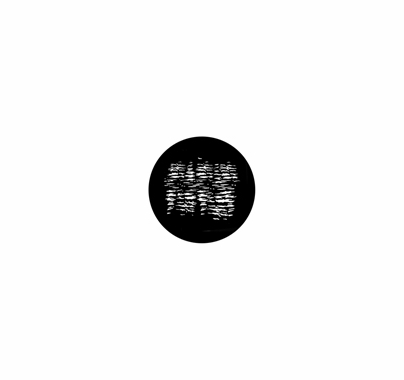 Rosco Glints 78485 Standard Steel Gobo
